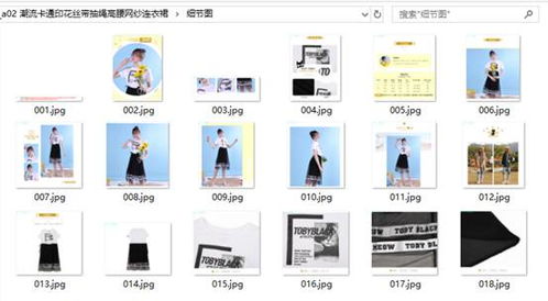 高效管理有貨商品圖片 分類下載與計算機軟硬件開發(fā)策略